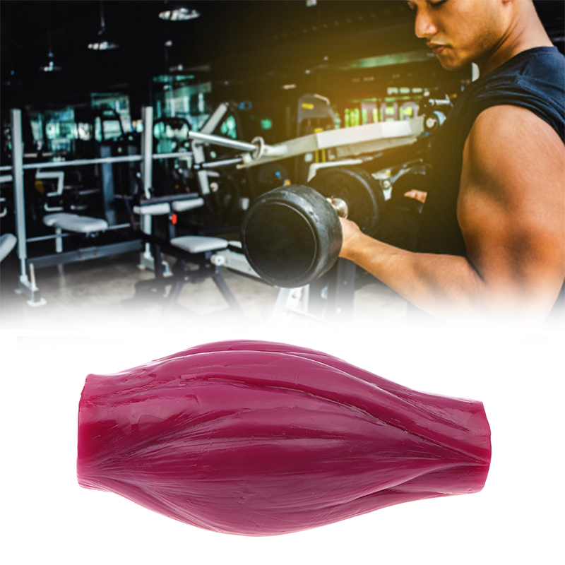 Nutrition And Fitness Courses - 1lb Muscle to Keep Fit &